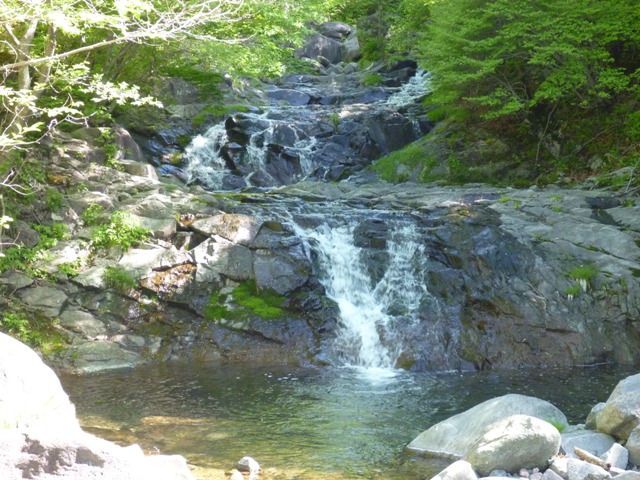 P1040965b.jpg