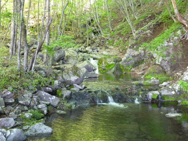 P1040977b.jpg