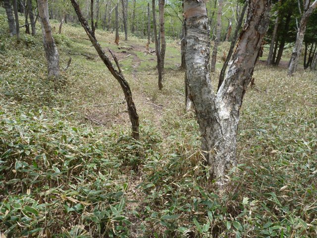 P1040991b.jpg