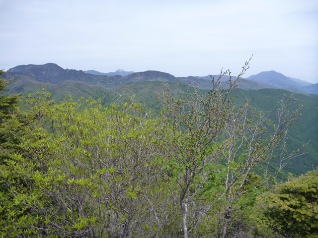 P1040997b.jpg