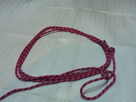 P1050011.jpg