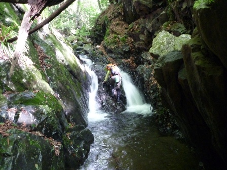 P1050130.jpg