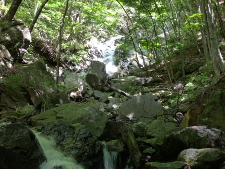 P1050144.jpg