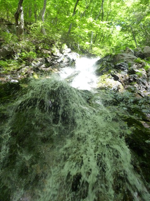P1050147.jpg