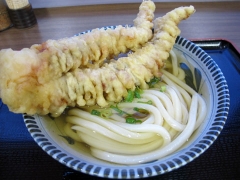 IMG90p (1)