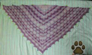 20120422_090751.jpg