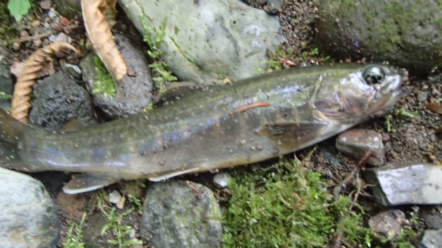 P9230620.jpg