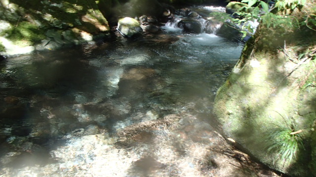 P9230624.jpg