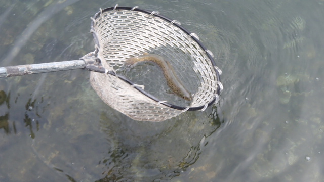 PC280171.jpg