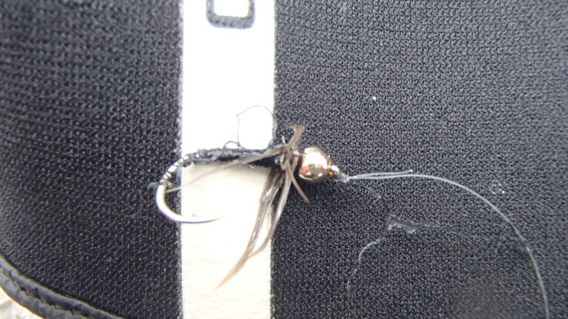 PC280173.jpg