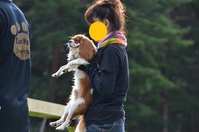 だっこ