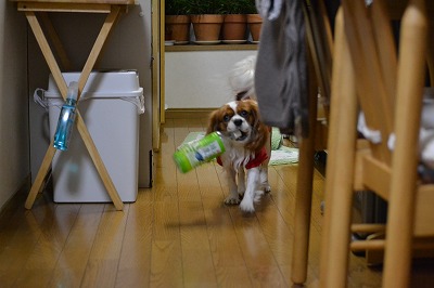あぐ
