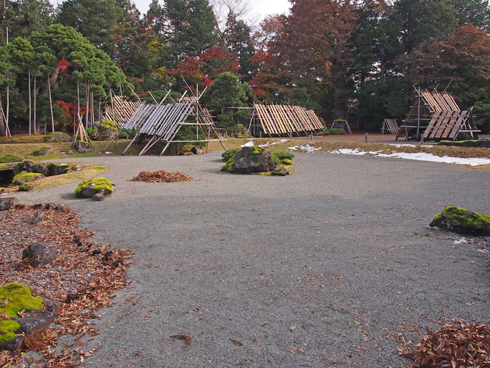 盛美園2013-8