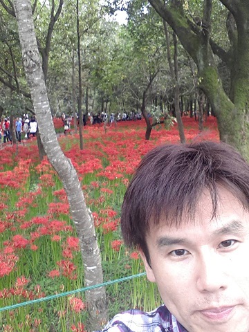 曼珠沙華(寺下)