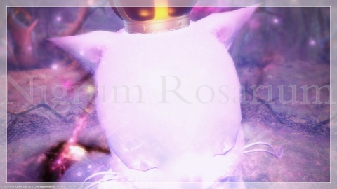 ffxiv_20140123_214528.jpg