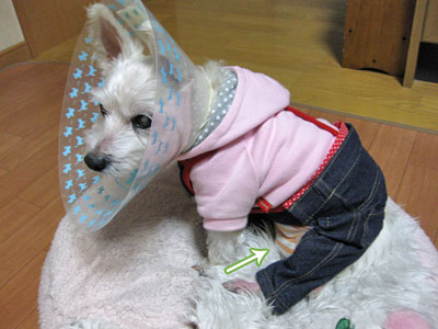 20120222④