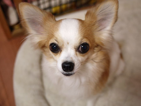 20120325①