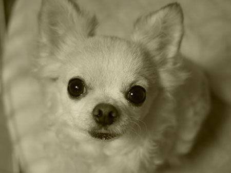 20120328②