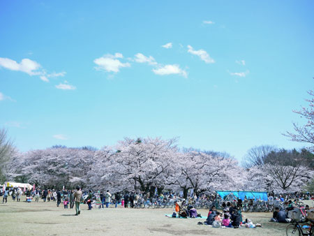 20120410①