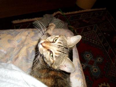 ochitayo_convert_20111003224004.jpg