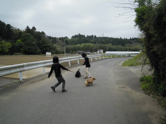 2012 04 21 008md