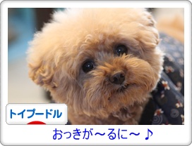 どぞどぞ♪