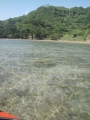 IMGP0013_20131202142701bd4.jpg