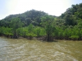 IMGP0041_2013120214285278d.jpg