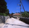 img172.jpg