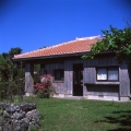 img175.jpg