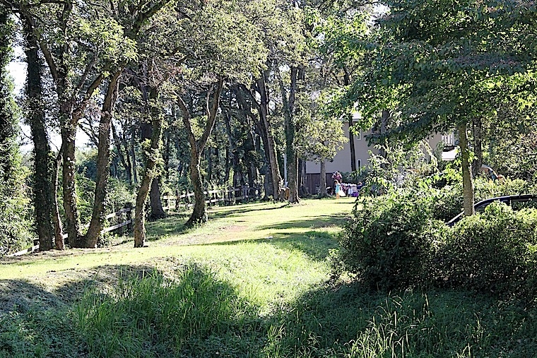 110919-18.jpg