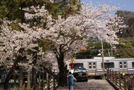 北鎌倉駅①