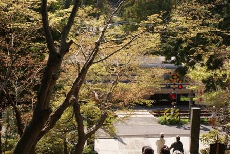 鎌倉円覚寺山門の階段