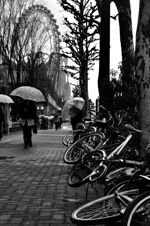 DSC_8488.jpg