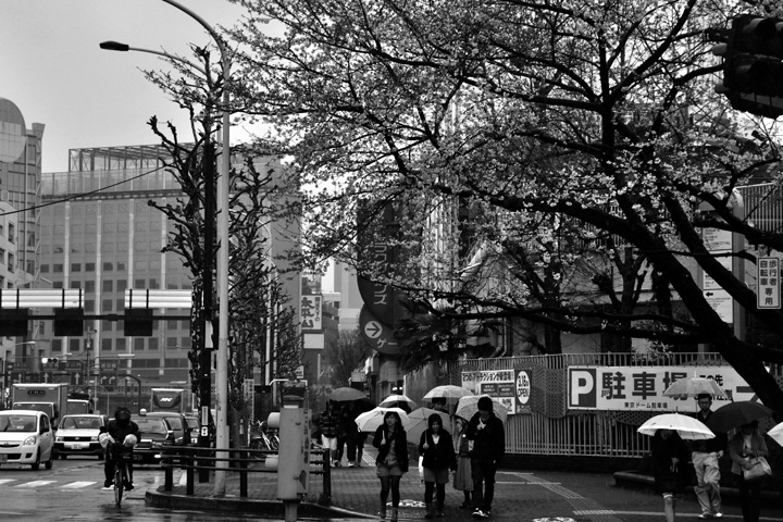 DSC_8500.jpg