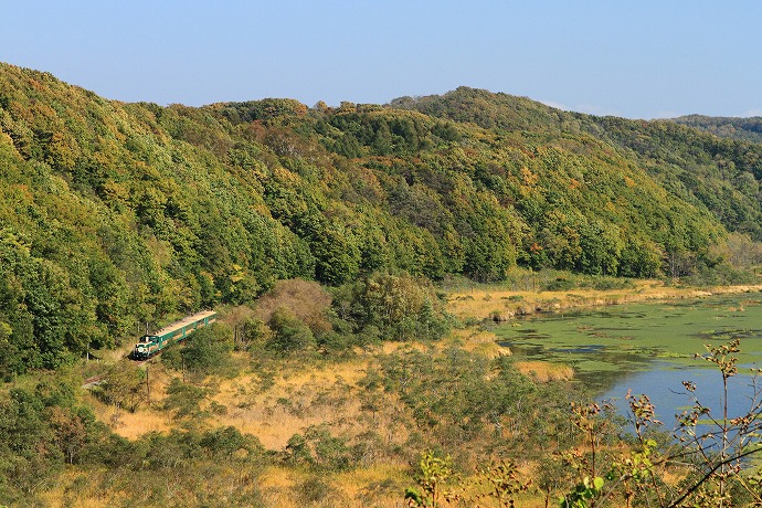 03 釧路湿原ノロッコ号