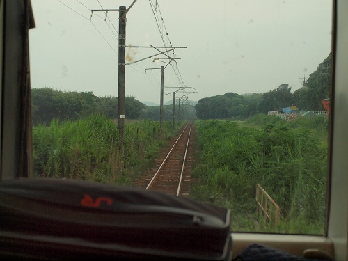 P8166848.jpg