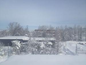 カーテンを開けると、そこは雪国だった