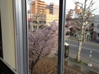咲いたけど