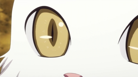 10 0886