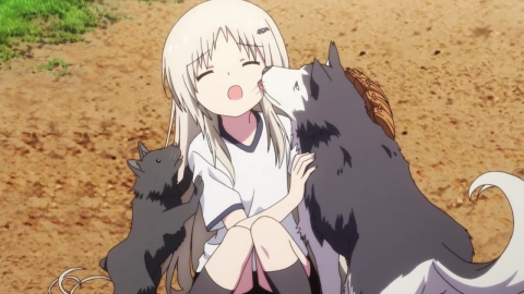 11 0691