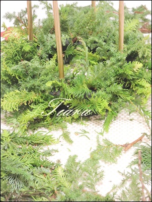 DSCN3116.jpg