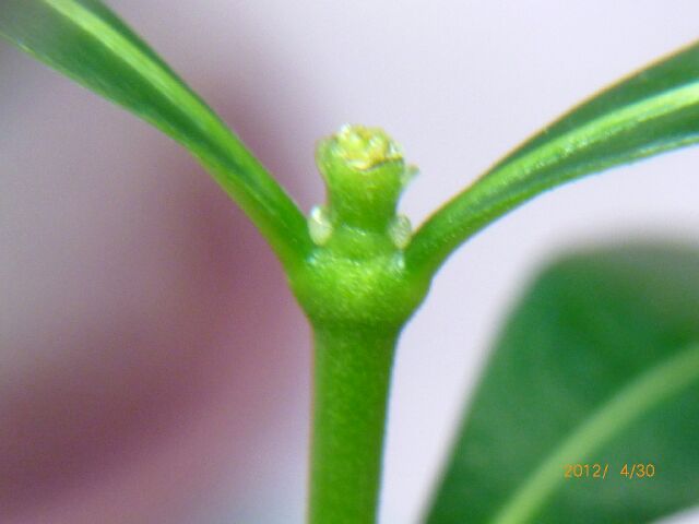 2012-04-30-7.jpg
