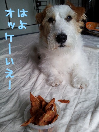 2013-03-315.jpg