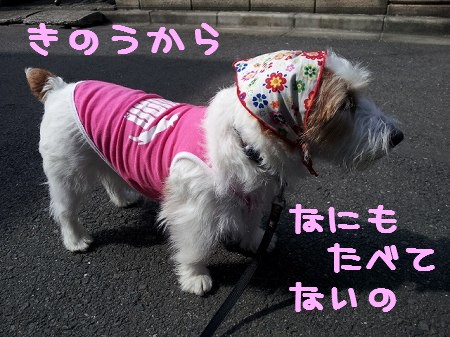 2013-04-0105.jpg