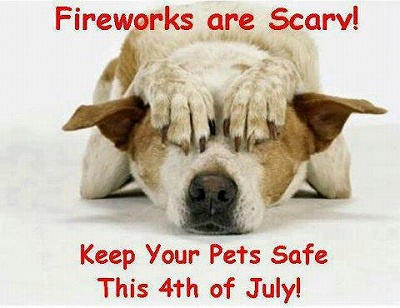 safe-pets-4th-of-july.jpg