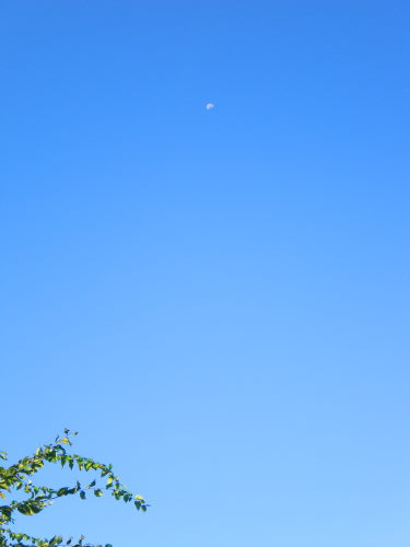 青空と残月