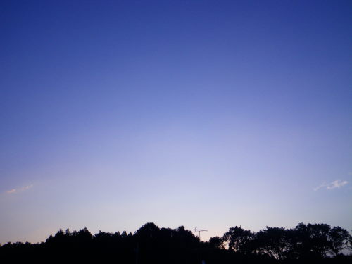 朝107