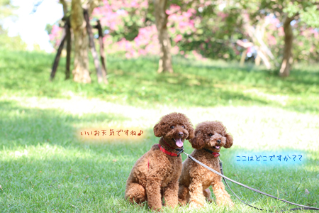 044A2929-a.jpg
