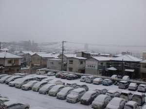 Cimg8401.jpg